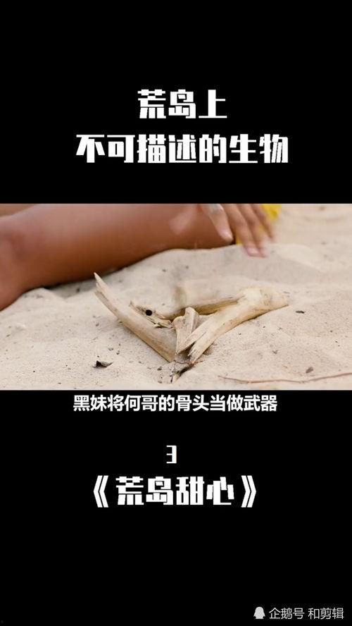 荒岛上的怪胎,怪胎之谜的探险之旅