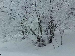 雪国奇遇记,穿越时空的奇幻之旅