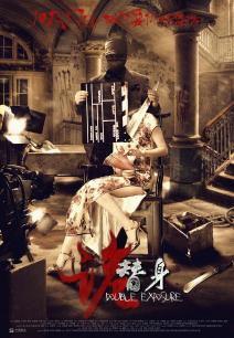 诡替身,身世之谜与命运交织的悬疑之旅